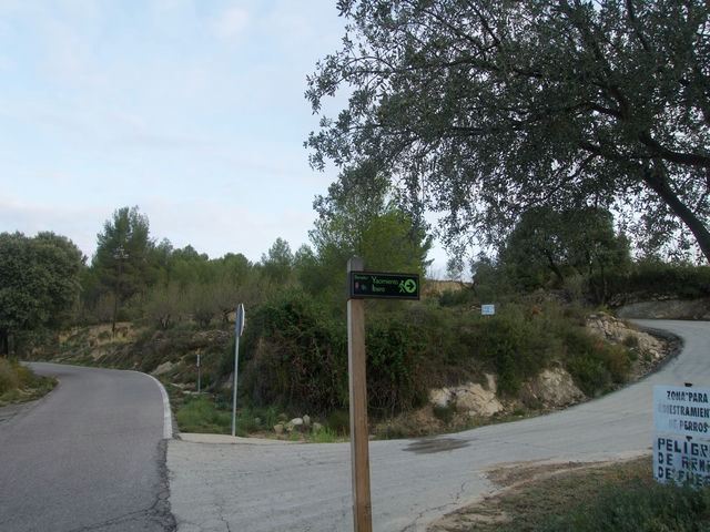 Desvío