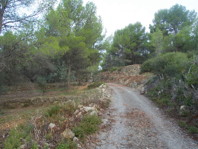 Camino