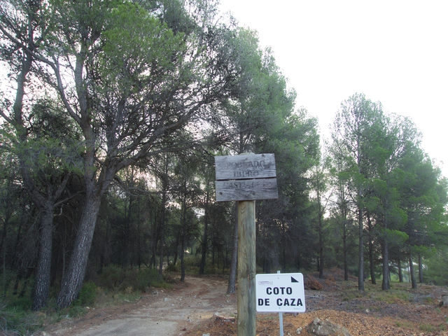 Cruce