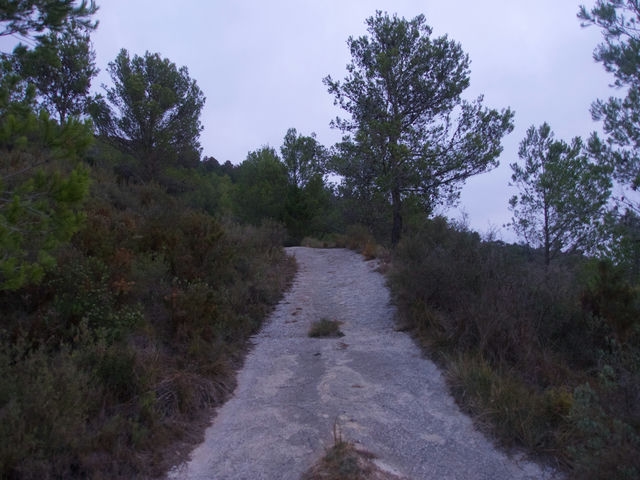 Camino