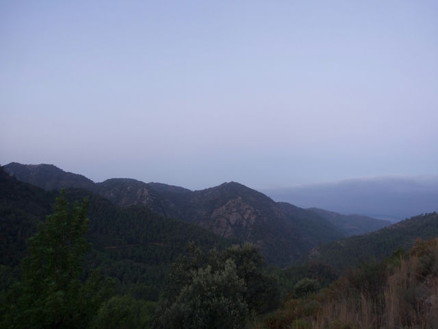 Vistas