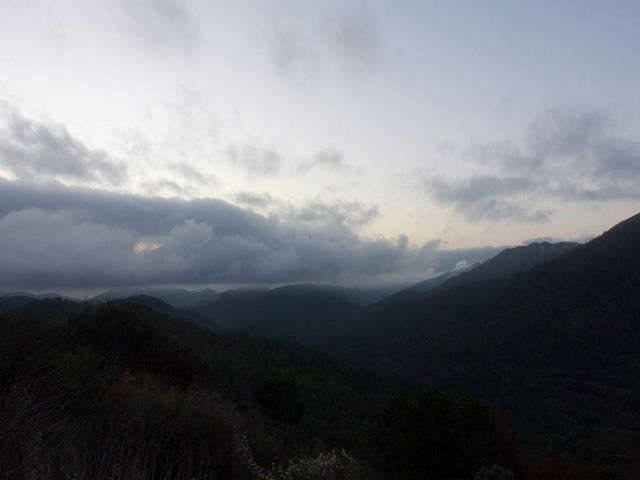 Vistas