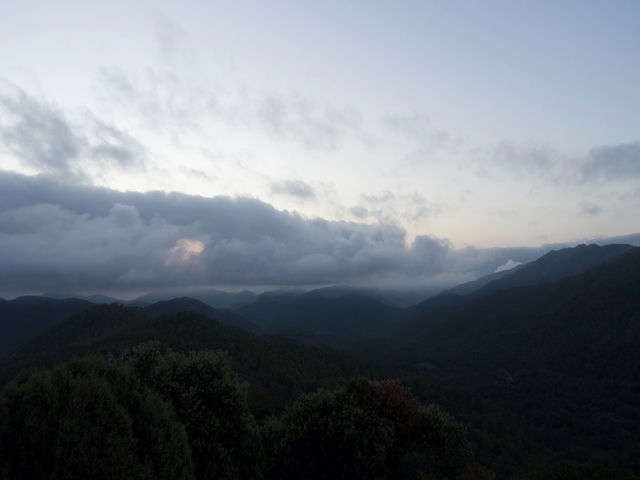 Vistas