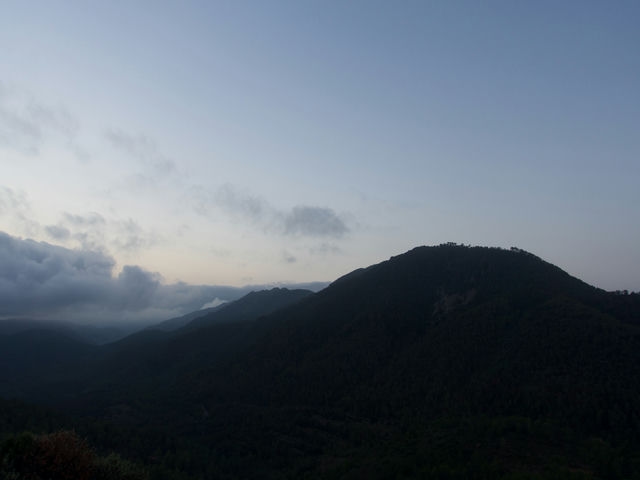 Vistas