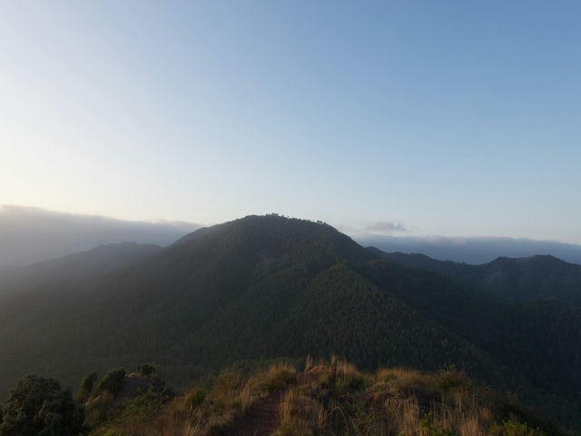 Vistas