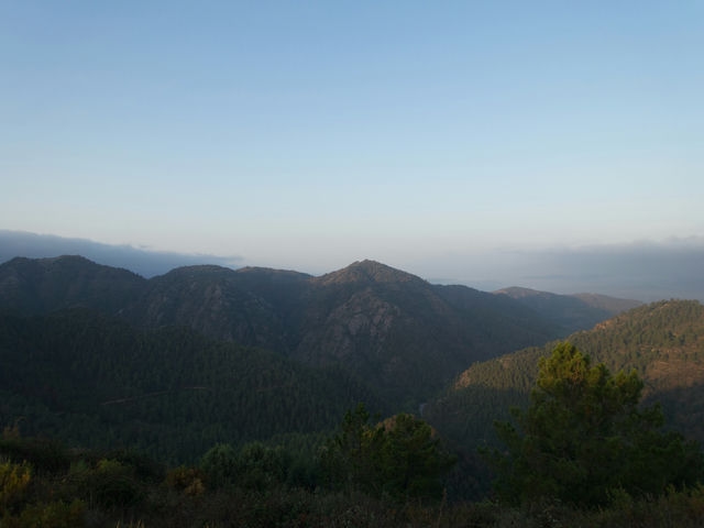 Vistas