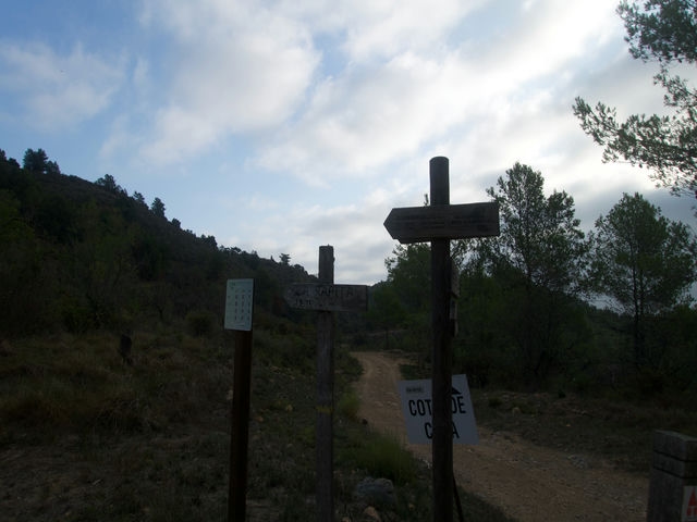 Cruce
