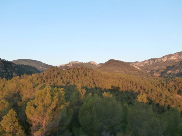 Vistas