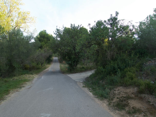 Cruce
