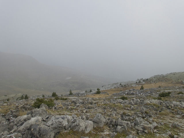 Vistas
