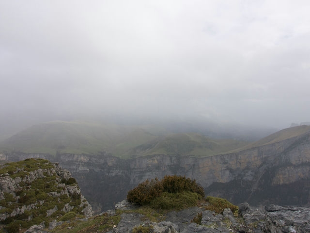 Vistas