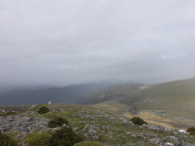 Vistas