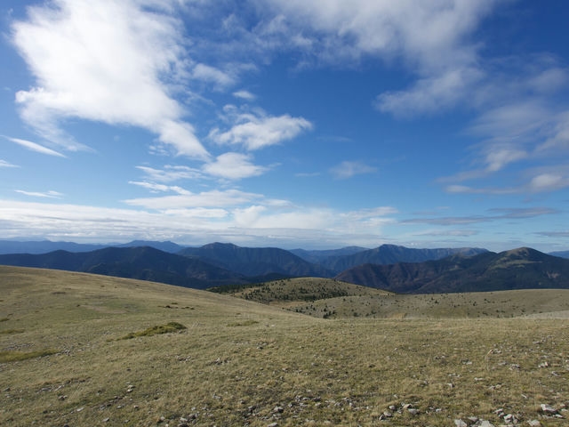 Vistas