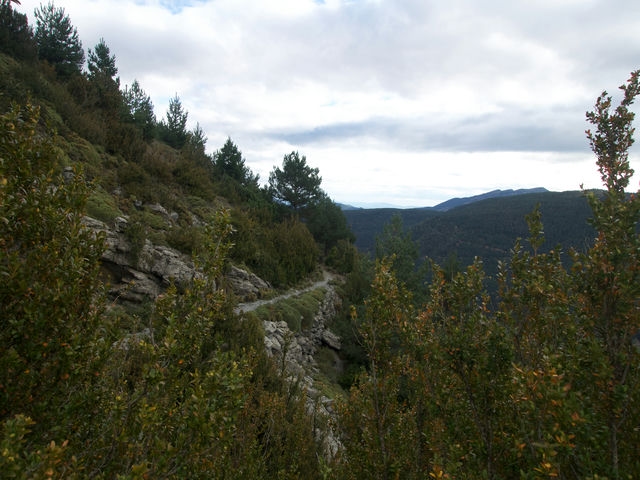 Senda