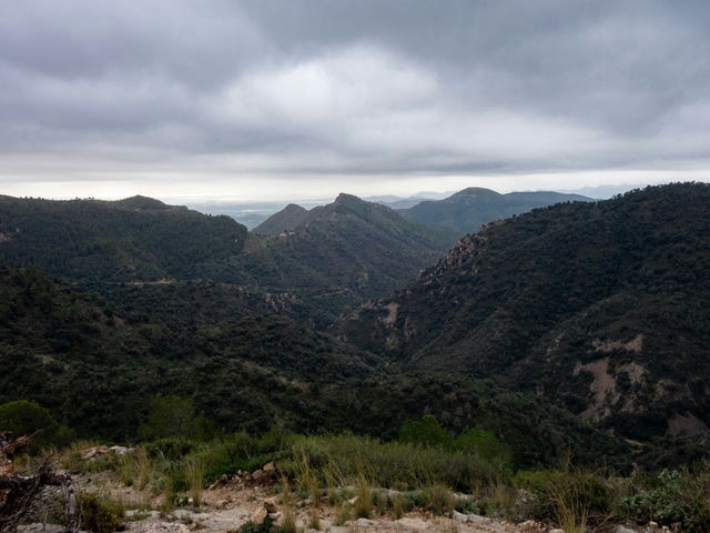 Vistas