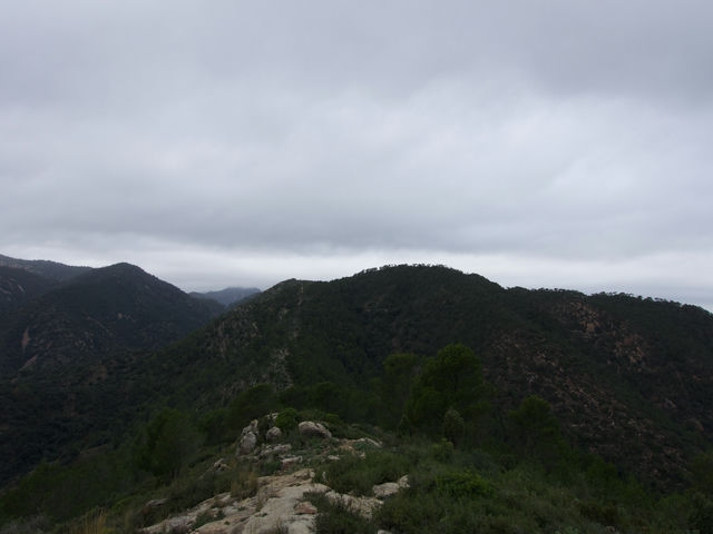 Vistas