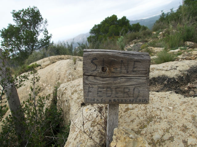 Signe de Federo