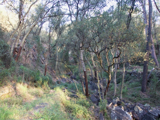 Barranco