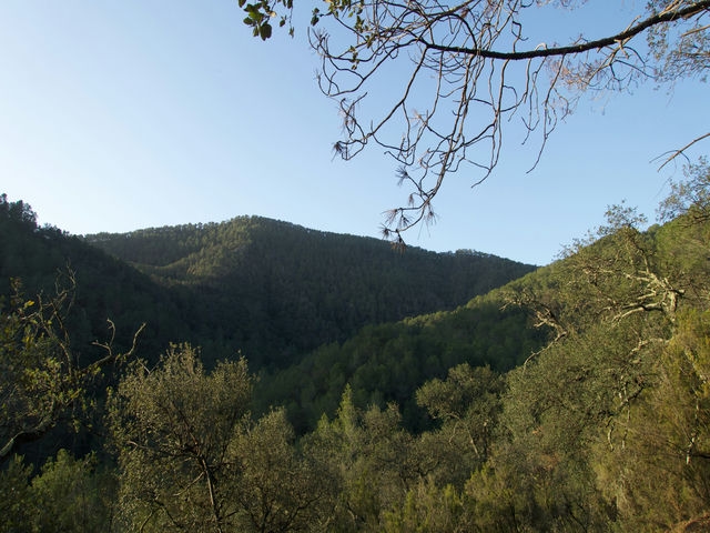 Vistas