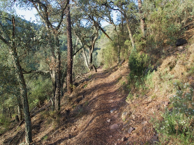Senda