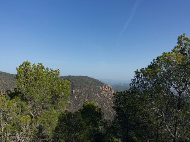 Vistas