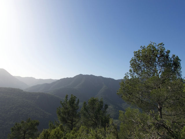 Vistas