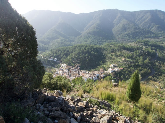 Vistas
