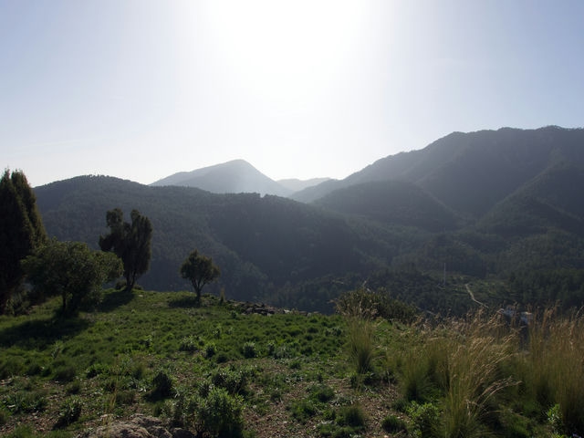 Vistas