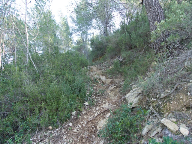 Senda
