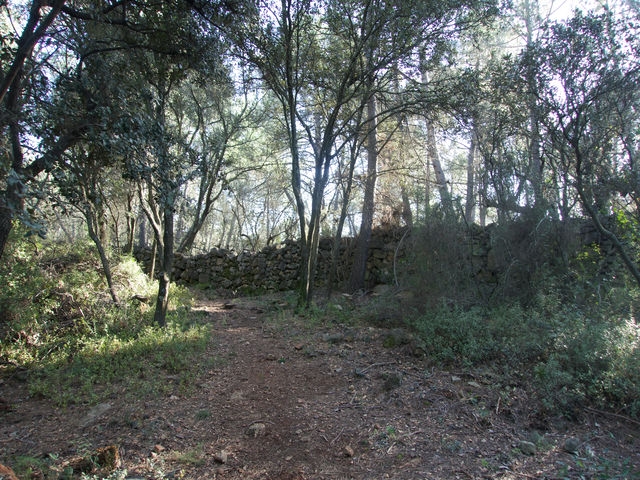 Muro