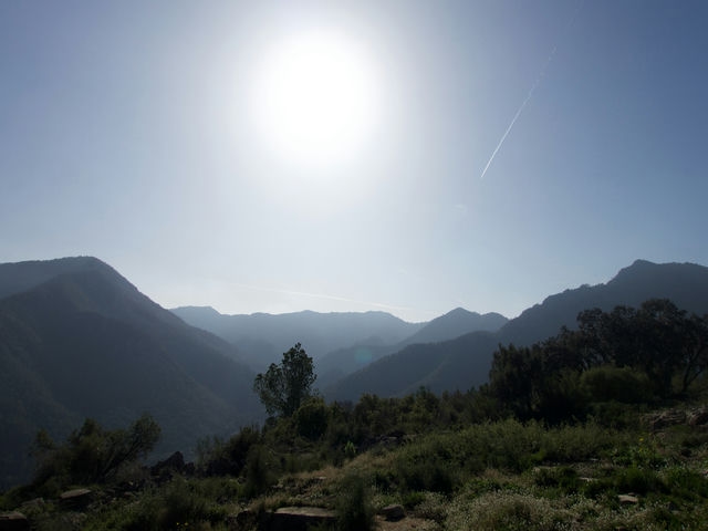 Vistas