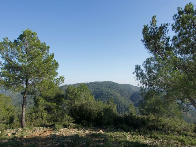 Vistas
