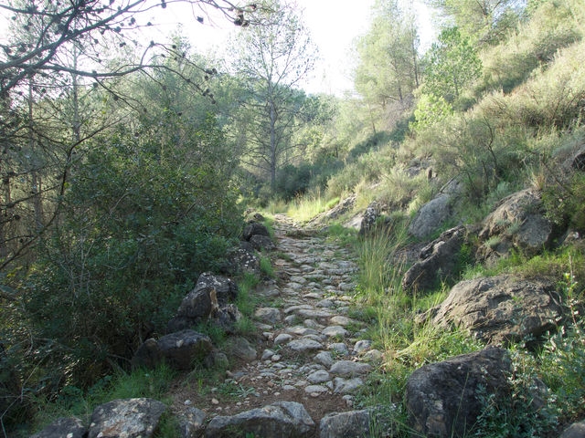 Senda