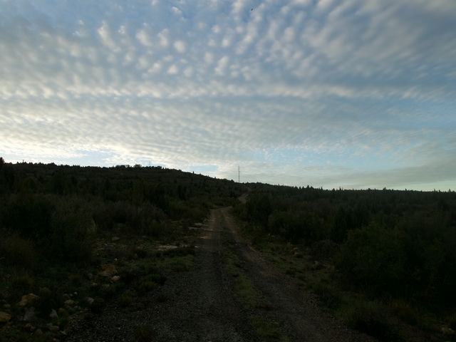 Camino
