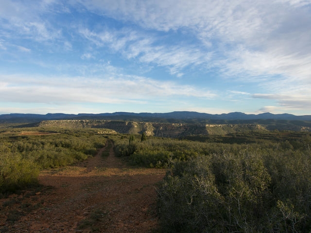Cruce de Caminos
