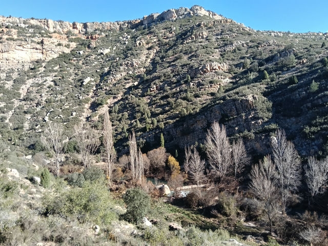 Vistas