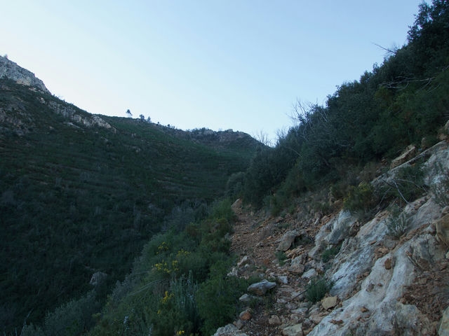 Senda