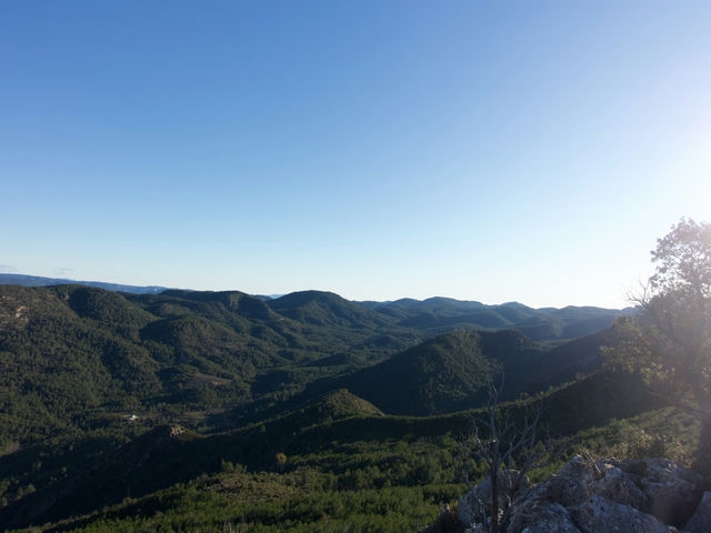 Vistas