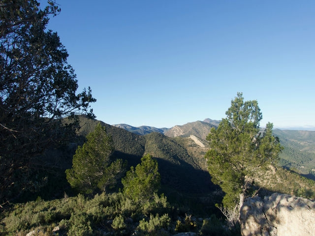 Vistas