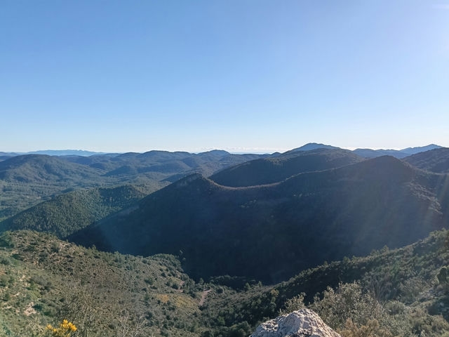 Vistas