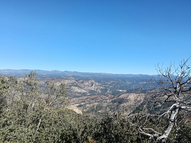 Vistas