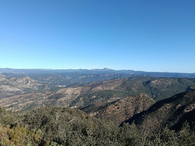 Vistas
