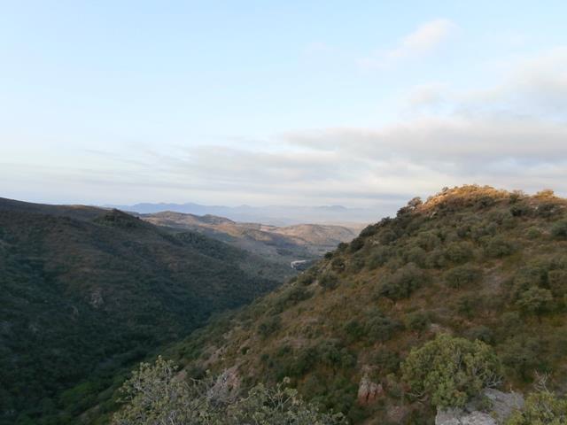 Vistas
