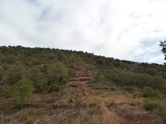 Vistas