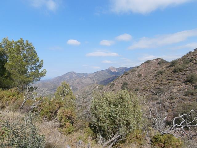Barranco