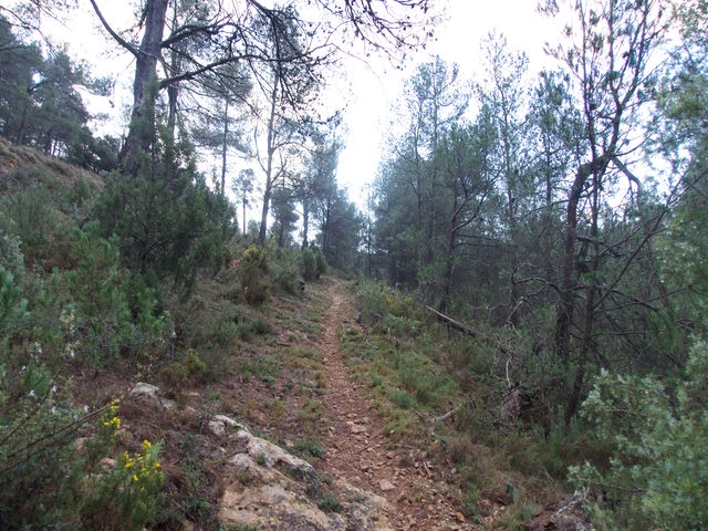 Senda