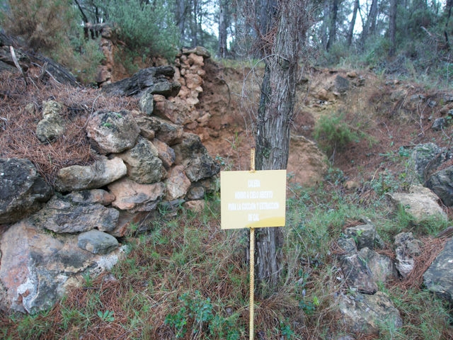 Calera