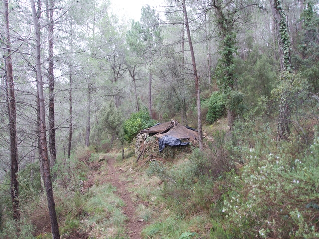 Refugio