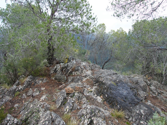 Morron Ventura