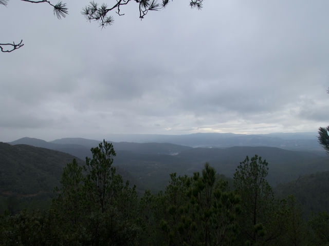 Vistas